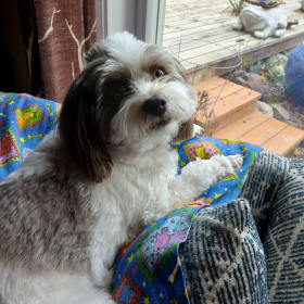 Millie