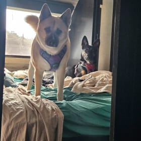 Simon and Mocha