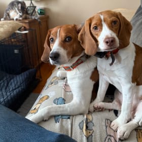 Baylee and Finlee
