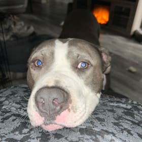 Gunnar