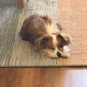 Meeka Smooch aka MooMoo