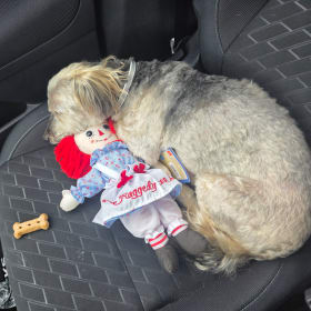 Max