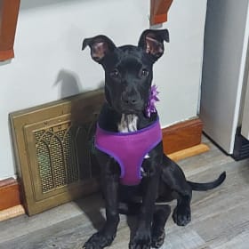 Chloe