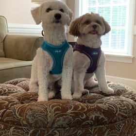 Otis and Lexi