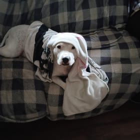 Skye