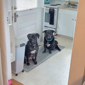 Clyde and Milo