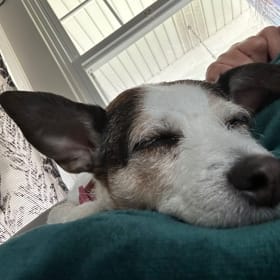 Penny