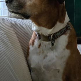 Baxter