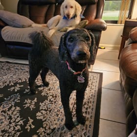 Lucy and Molly