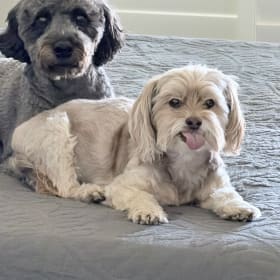Finn and Charlie