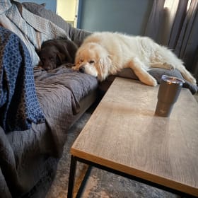 Bear and Gunner