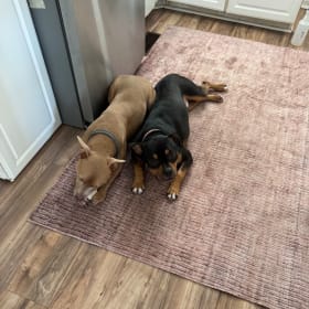 Tyson and Malachi