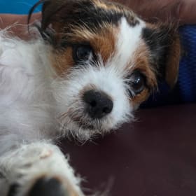 Chiki
