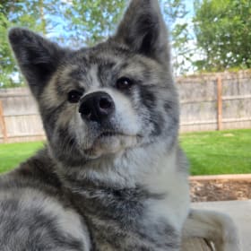 Kalia