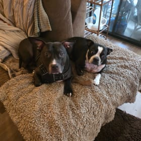 Taz and Winston