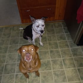 Pip and Maddie