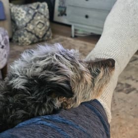 Georgie girl