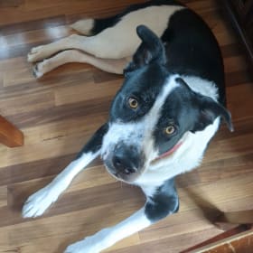 Zeus