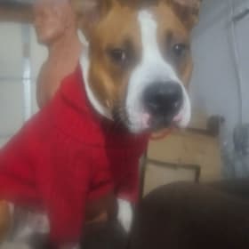 Astro