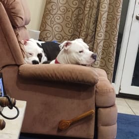 Daisy duke and Roscoe p coltrain adopted 10-25
