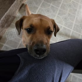 Max