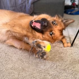 Luca