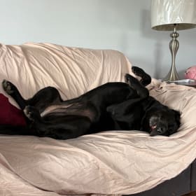 Mitzi