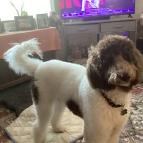 Lola
