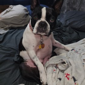 Maggie