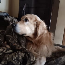 Ruger