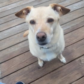 Roscoe
