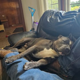 LuLu