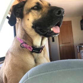 Lucy