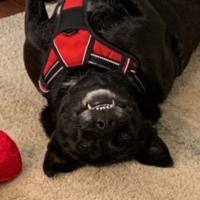 Loretta Bean
