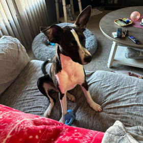Vinnie