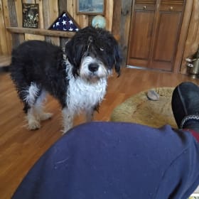 Bailey