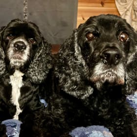 Gracee and Scooter