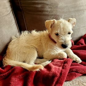 Finnegan