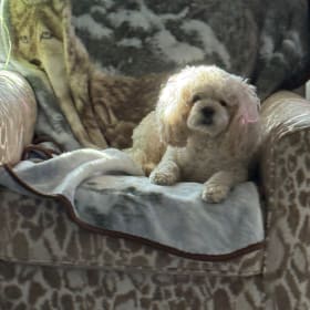 Ellie