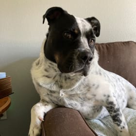 Bubba