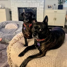 Luna and Vienna