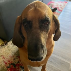 Barry