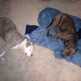 Thumper and Sterling