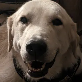 Aslan