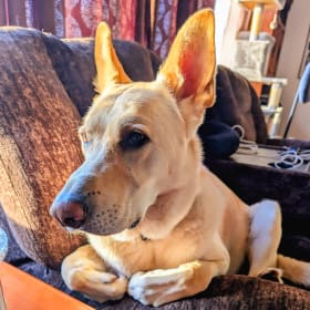 Duke