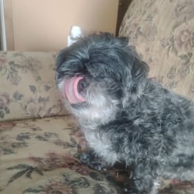 Oscar