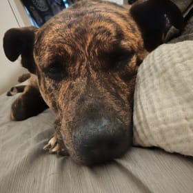 Murphy