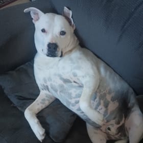 Milo