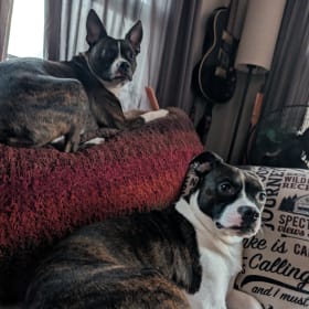 Winnie and Remmy