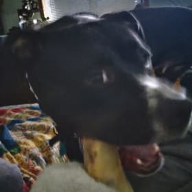 Sam